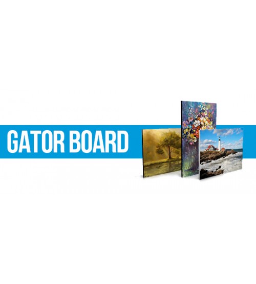 Gator Board